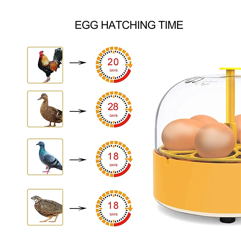 Kuluçka Makinesi Tavuk Ördek K - Lab Incubator incelemesi ve fiyatı