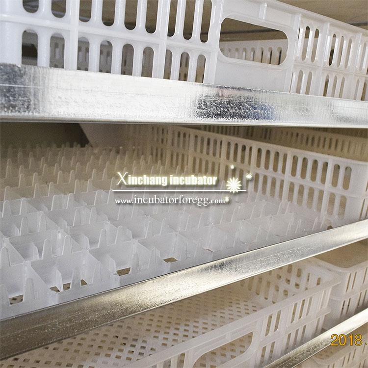 5000 Yumurtalık Küçük İşletmel - Lab Incubator incelemesi ve fiyatı